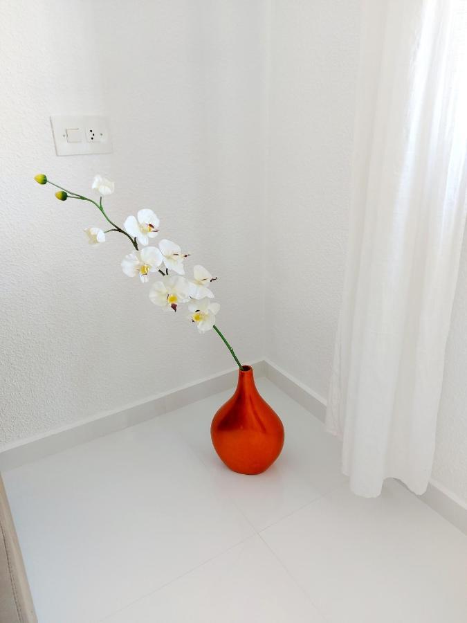 אלביר Albir Resort מראה חיצוני תמונה