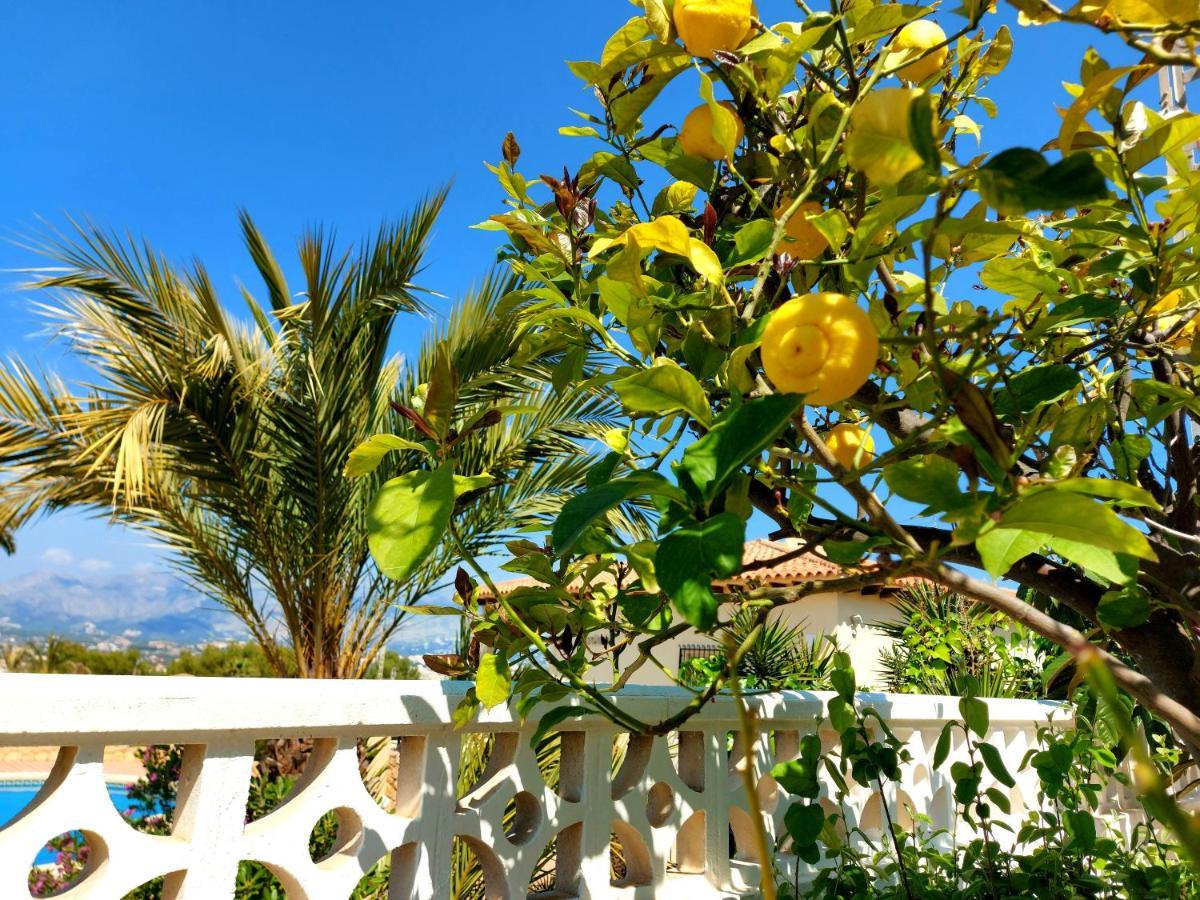 אלביר Albir Resort מראה חיצוני תמונה