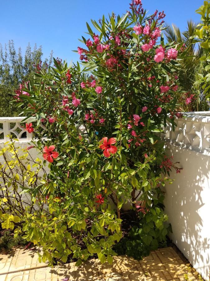 אלביר Albir Resort מראה חיצוני תמונה